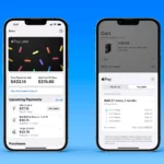 apple pay later