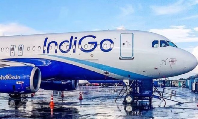 indigo
