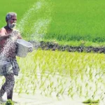 Farmer