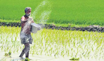 Farmer