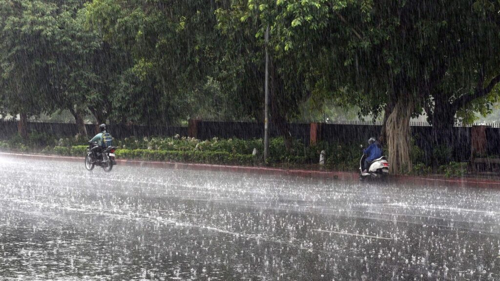 Rain