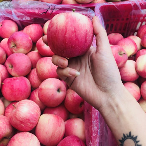 apple
