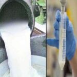 milk
