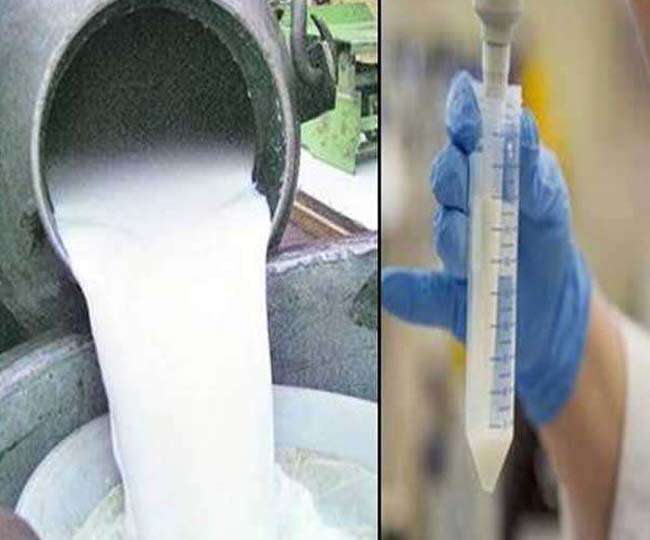milk