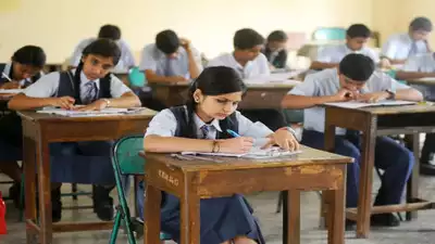 u.p school