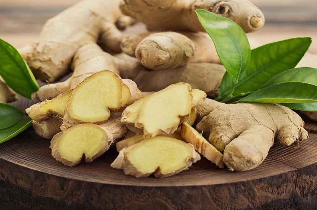 Ginger