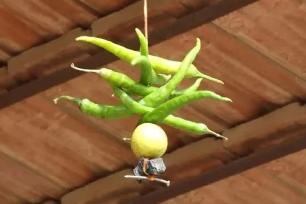 Nimbu-Mirchi