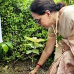 हेमा मालिनी करेंगी वृक्षारोपण