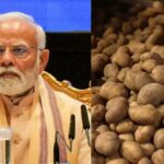 अंतरराष्ट्रीय आलू केंद्र