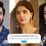 Pakistani Celebs Social Media Account Ban