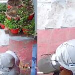 दूध देने से पहले बर्तन में थूकता था दूधिया