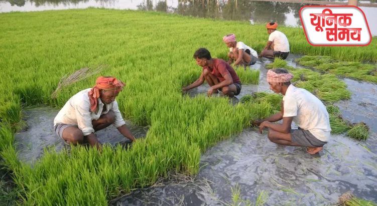 मथुरा के सुरीर में यूरिया खाद की किल्लत