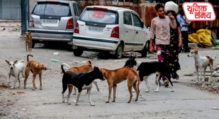 SC ने कुत्तों को शेल्टर होम भेजने के फैसले को पलटा