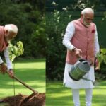 प्रधानमंत्री नरेंद्र मोदी ने लगाया कदम्ब का पौधा