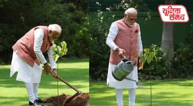 प्रधानमंत्री नरेंद्र मोदी ने लगाया कदम्ब का पौधा