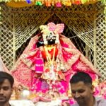 बांकेबिहारीजी महाराज का 482 वां प्राक्ट्योत्सव