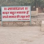 आश्रमों के बाहर लगे चेतावनी बोर्ड