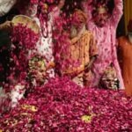 Grand celebration of traditional and spiritual Holi at Ramanreti Ashram