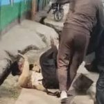 The husband launched a deadly attack on his wife in broad daylight