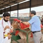 On Ram Navami, DM Chandra Prakash Singh performed worship of cattle