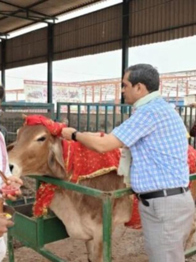 On Ram Navami, DM Chandra Prakash Singh performed worship of cattle