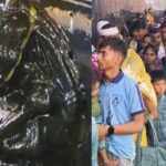 A flood of hundreds of thousands of devotees thronged Kokilavan on Shani Amavasya