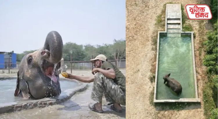 Wildlife SOS Launches 'Summer Protocol'