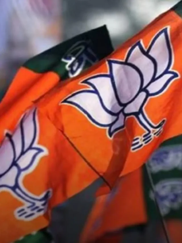 Amit Shah and JP Nadda Appointed as Observers