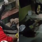Husband commits suicide after shooting wife in Mathura