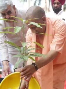 CM Yogi inaugurated the 'Ek Ped Maa Ke Naam' mega-campaign