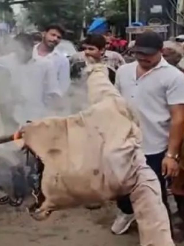 मथुरा में महंत राजू दास के खिलाफ निषाद समाज का उग्र प्रदर्शन, फूंका पुतला