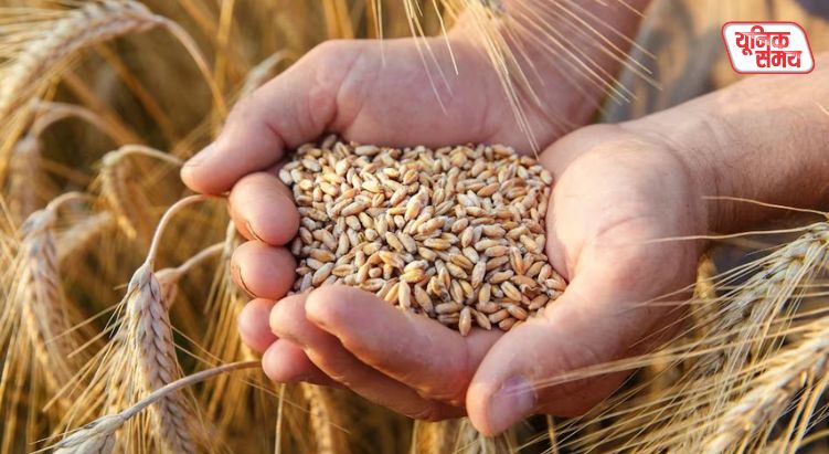 Modi Cabinet's big gift to farmers