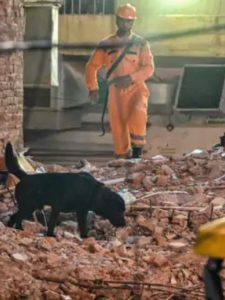 Five-storey building collapses in the capital's Satya Niketan area