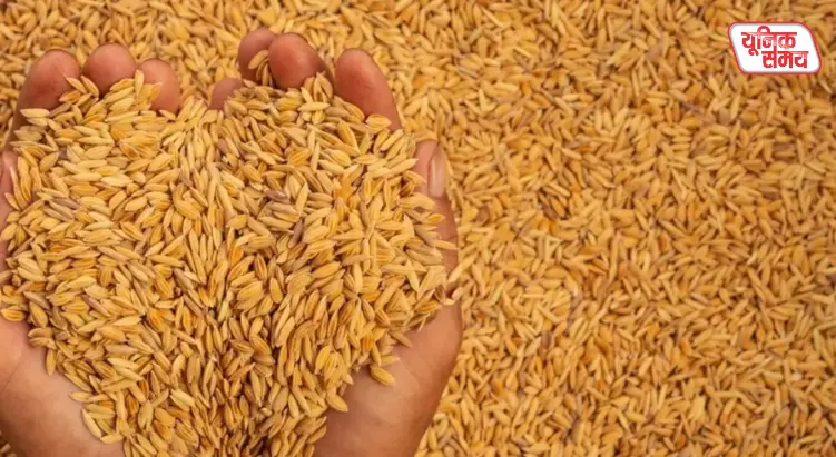 Paddy procurement policy approved for the 2026-27 Kharif season in UP
