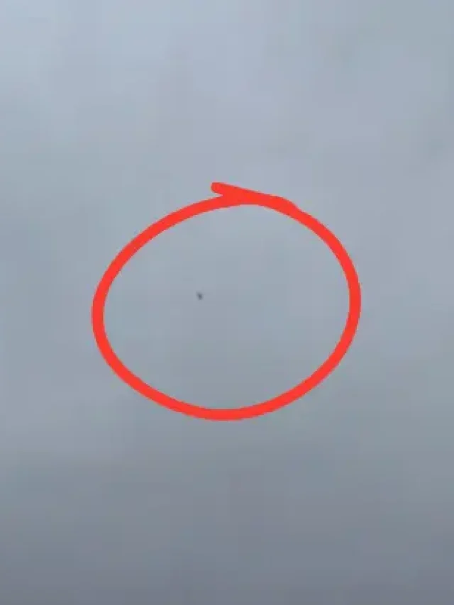बदरीनाथ से लौट रहा ट्रांस भारत कंपनी का हेलीकॉप्टर जोशीमठ के पास हादसे का शिकार